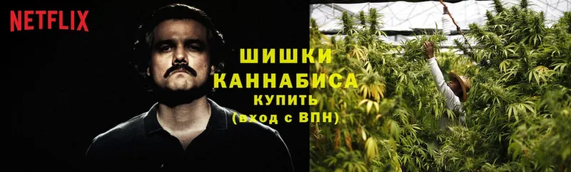 что такое   Абинск  Каннабис SATIVA & INDICA 